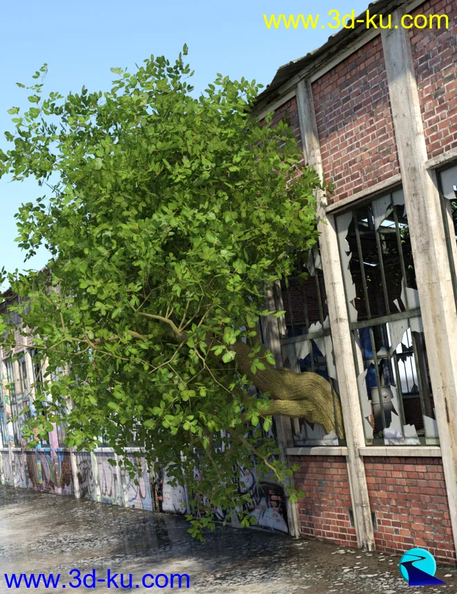 Randomizable Trees模型的图片7