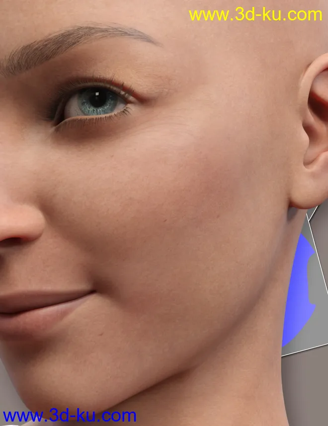 Raw Skins1 PBR Merchant Resource Textures for Genesis 8.1 Female模型的图片2