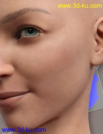 3D打印模型Raw Skins1 PBR Merchant Resource Textures for Genesis 8.1 Female的图片