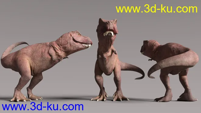 Rex HD for Genesis 8.1 Male模型的图片5