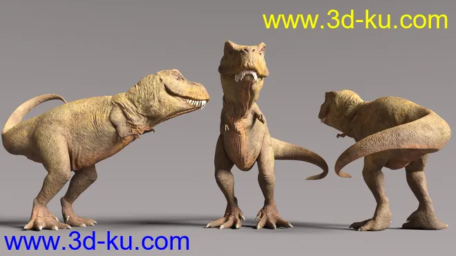Rex HD for Genesis 8.1 Male模型的图片6