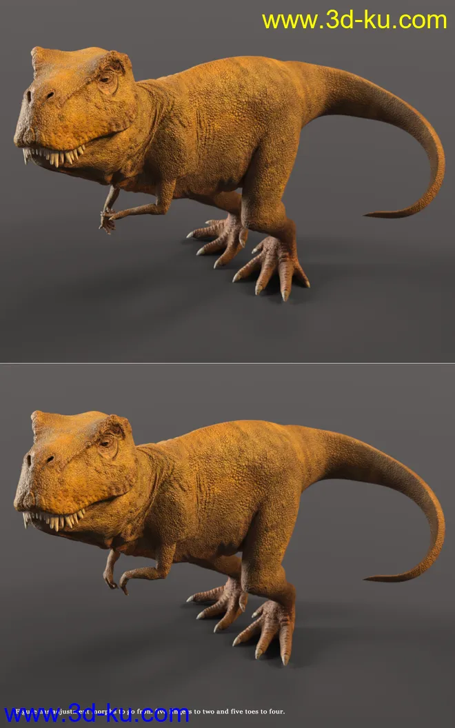 Rex HD for Genesis 8.1 Male模型的图片15