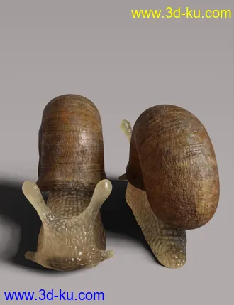 3D打印模型Riding Snail的图片