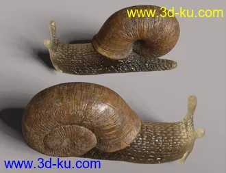 3D打印模型Riding Snail的图片