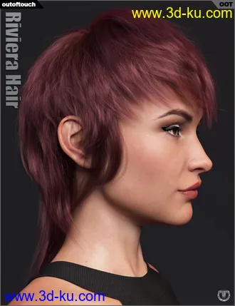3D打印模型Riviera Hair for Genesis 3 and 8的图片