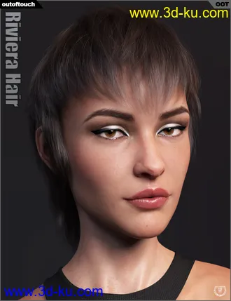 3D打印模型Riviera Hair for Genesis 3 and 8的图片