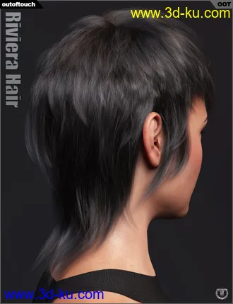 3D打印模型Riviera Hair for Genesis 3 and 8的图片