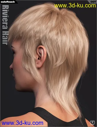 3D打印模型Riviera Hair for Genesis 3 and 8的图片