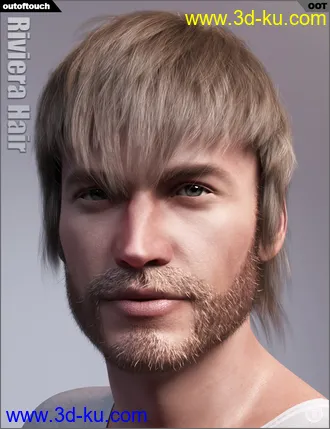 3D打印模型Riviera Hair for Genesis 3 and 8的图片