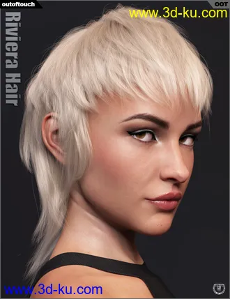 3D打印模型Riviera Hair for Genesis 3 and 8的图片
