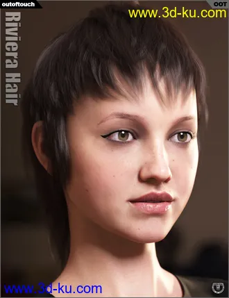 3D打印模型Riviera Hair for Genesis 3 and 8的图片