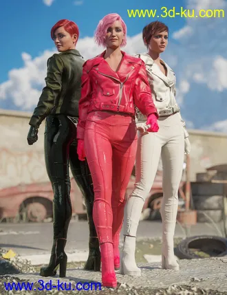 3D打印模型Road Rash for Genesis 8 and 8.1 Females的图片