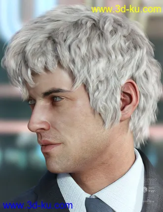 3D打印模型Royce Hair for Genesis 3 & 8 Male(s)的图片