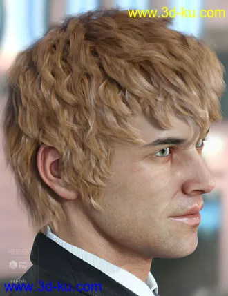 3D打印模型Royce Hair for Genesis 3 & 8 Male(s)的图片