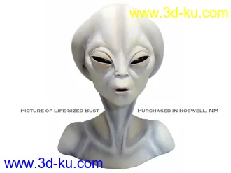 3D打印模型Rozland for Genesis 8 Female的图片