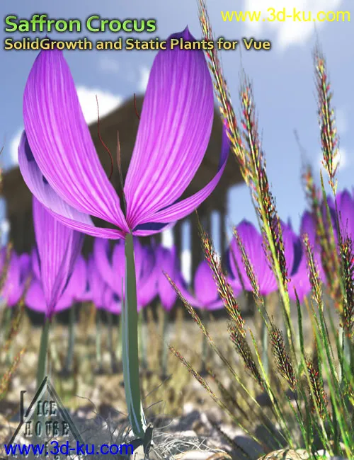 Saffron Crocus - for Vue模型的图片2