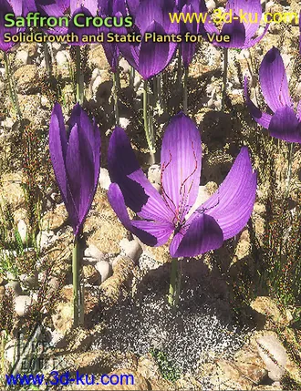3D打印模型Saffron Crocus - for Vue的图片