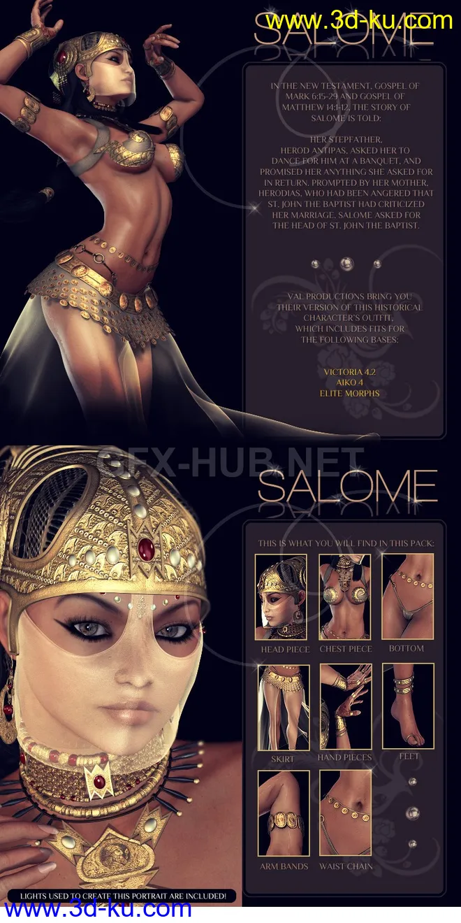 Salome模型的图片1