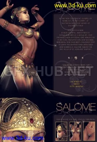 3D打印模型Salome for Victoria 4.2, Elite & Aiko 4的图片