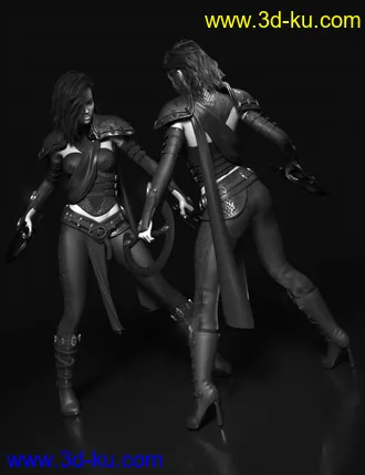 3D打印模型Samarah Shadow Rogue Outfit for Genesis 8.1 Females的图片