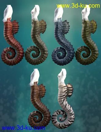 3D打印模型Seahorse Tails for Genesis 8.1 Males and Females的图片