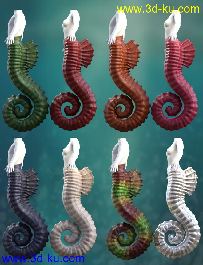 Seahorse Tails for Genesis 8.1 Males and Females模型的图片5