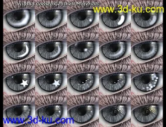 SF Ball Jointed Dolls for Genesis 8 and 8.1模型的图片16