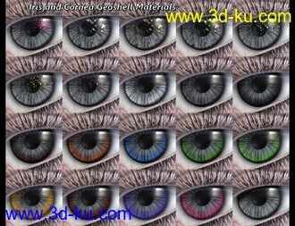 3D打印模型SF Ball Jointed Dolls for Genesis 8 and 8.1的图片