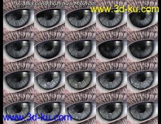 3D打印模型SF Ball Jointed Dolls for Genesis 8 and 8.1的图片