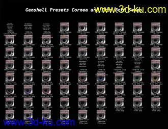 SF Ball Jointed Dolls for Genesis 8 and 8.1模型的图片24