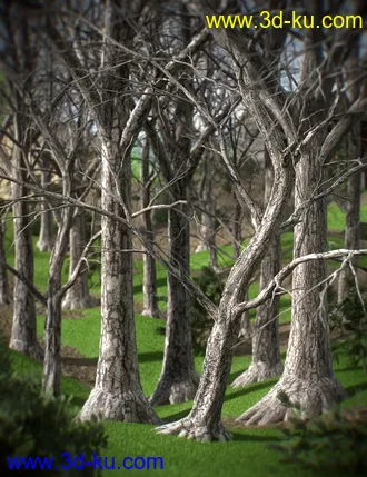 3D打印模型Shades of Life - Bark Booster的图片