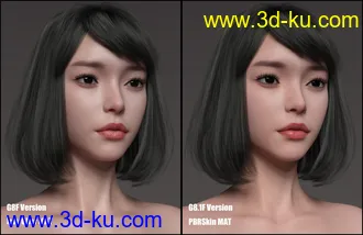 3D打印模型Shirley Lee Character with Hair for Genesis 8 and 8.1 Female的图片