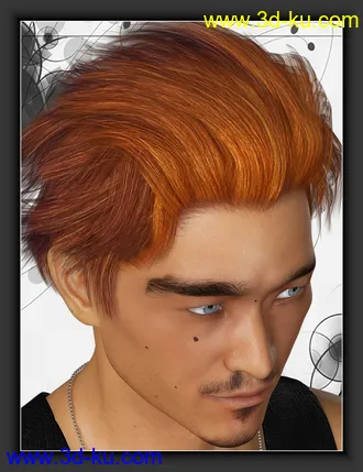3D打印模型ShoXoloR for North Hair的图片