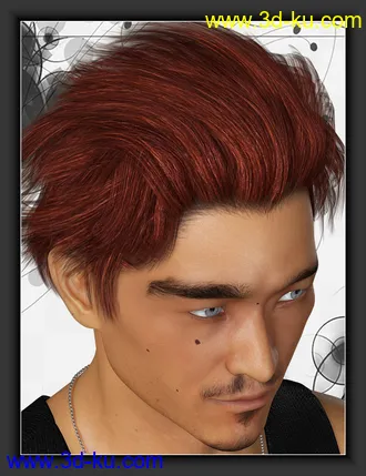3D打印模型ShoXoloR for North Hair的图片