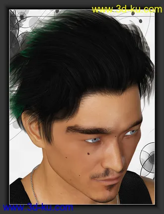 3D打印模型ShoXoloR for North Hair的图片