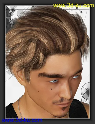 3D打印模型ShoXoloR for North Hair的图片