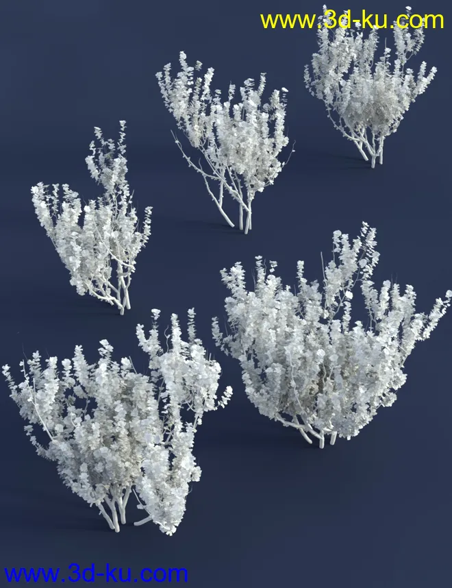 Shrubs for Foliage and Hedging Vol 1模型的图片2