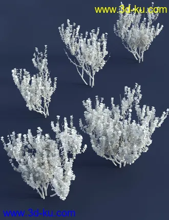 3D打印模型Shrubs for Foliage and Hedging Vol 1的图片
