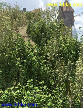 3D打印模型Shrubs for Foliage and Hedging Vol 1的图片