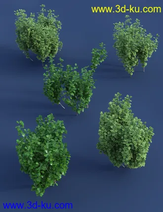 3D打印模型Shrubs for Foliage and Hedging Vol 1的图片