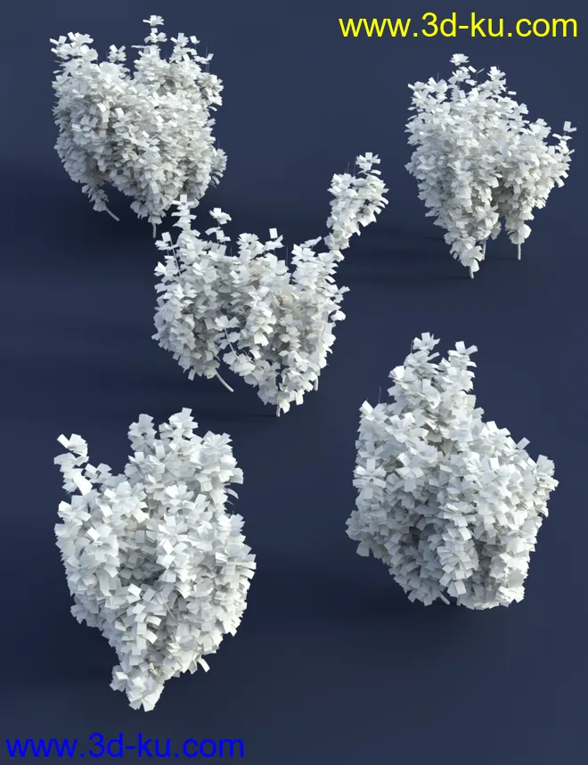 Shrubs for Foliage and Hedging Vol 1模型的图片5