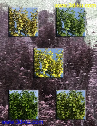 3D打印模型Shrubs for Foliage and Hedging Vol 1的图片