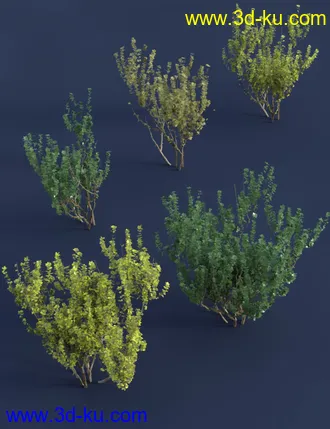 3D打印模型Shrubs for Foliage and Hedging Vol 1的图片