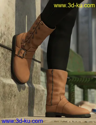 3D打印模型Side Laced Boots for Genesis 8 Female的图片