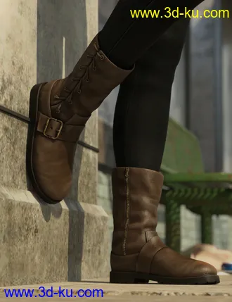 3D打印模型Side Laced Boots for Genesis 8 Female的图片