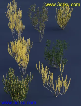 3D打印模型Spring Flowering Shrubs - Golden Forsythia的图片