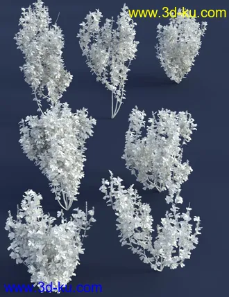 3D打印模型Spring Flowering Shrubs - Golden Forsythia的图片