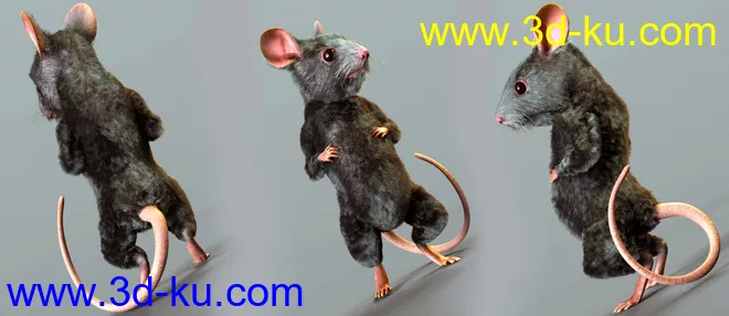 Storybook Mouse for Genesis 8.1 Males模型的图片3