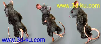 3D打印模型Storybook Mouse for Genesis 8.1 Males的图片