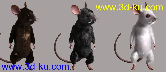 Storybook Mouse for Genesis 8.1 Males模型的图片6